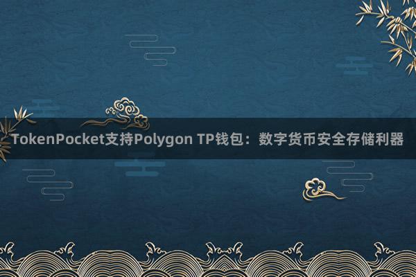 TokenPocket支持Polygon TP钱包：数字货币安全存储利器