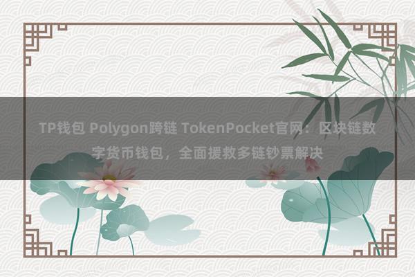 TP钱包 Polygon跨链 TokenPocket官网：区块链数字货币钱包，全面援救多链钞票解决