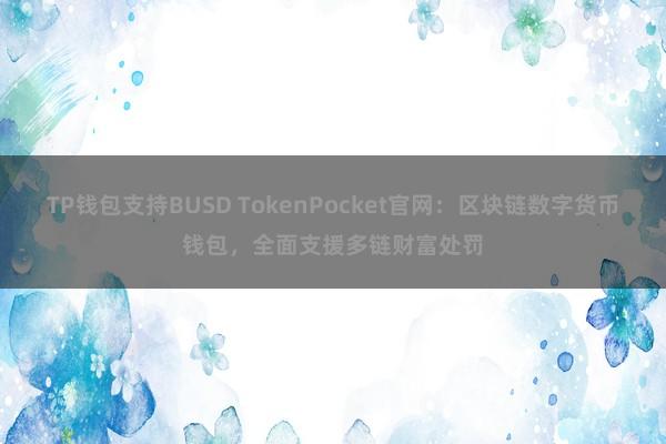 TP钱包支持BUSD TokenPocket官网：区块链数字货币钱包，全面支援多链财富处罚