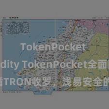 TokenPocket Solidity TokenPocket全面因循TRON收罗，浅易安全的数字货币惩办器具